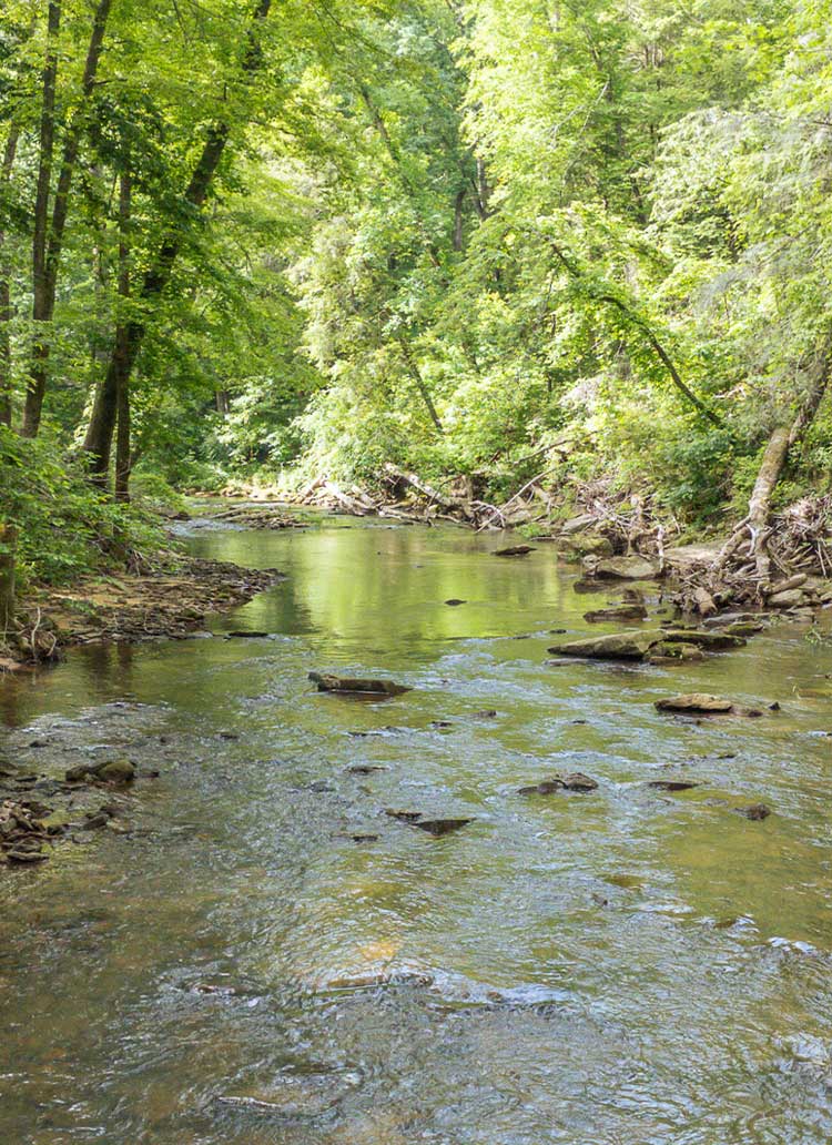 Rock-Creek-Retreat-2026-4